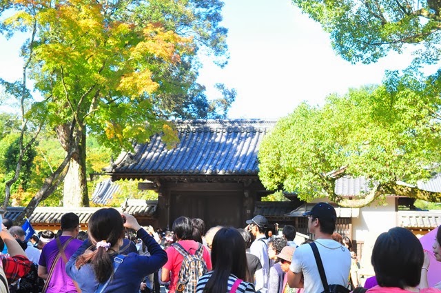 [DSC_02173.jpg]