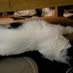 DSCN0248.JPG