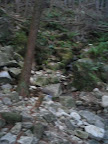 IMG_4861_512.JPG