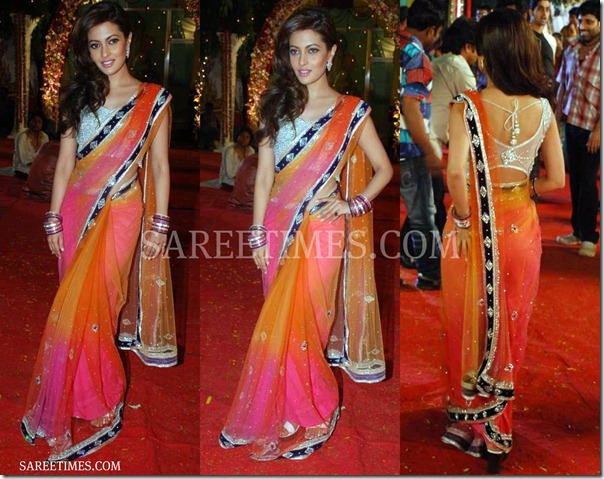 Riya_Sen_Saree