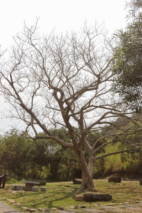 2014_0409_104204 2014_0409_104204