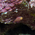 P7024335-3