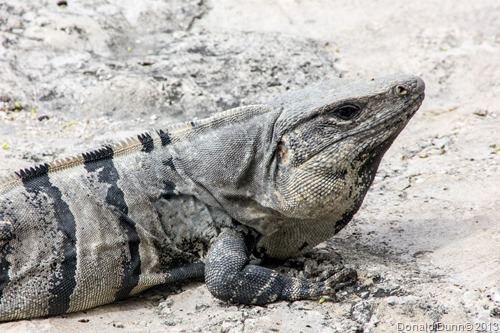 [130318_E-10%255B16%255D.jpg]