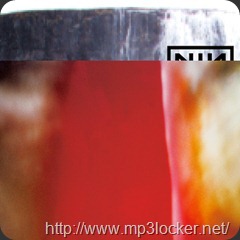 Nin-the_fragile800