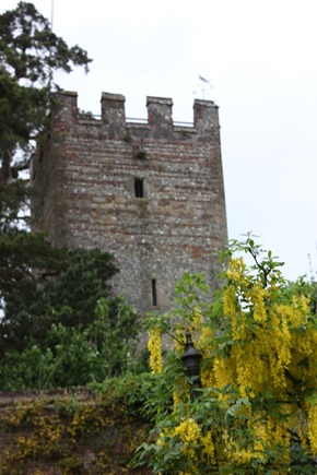 IMG_9278 IMG_9278
