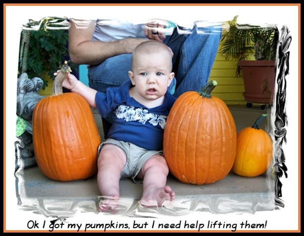 [pumkins3%255B1%255D.jpg]