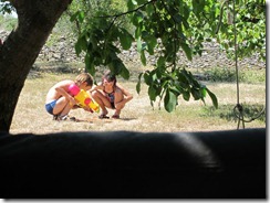 IMG_0334 IMG_0334
