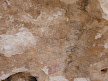 cave paintings
