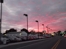 DSCF2264
