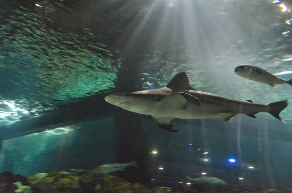 [DSC_8475%255B3%255D.jpg]