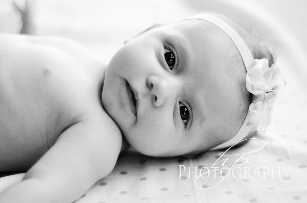 [HPP_4464bw%255B5%255D.jpg]