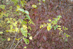 DSC02400.JPG