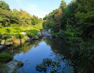 DSC03134 DSC03134