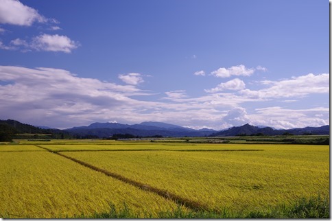 IMGP9985 IMGP9985