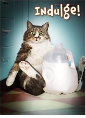 [milk%255B3%255D.jpg]