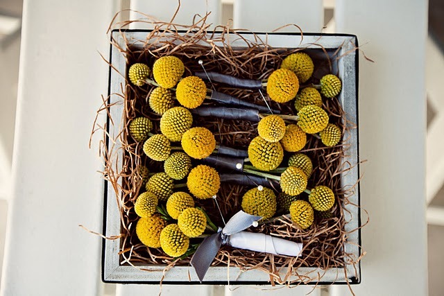 [modern-beach-wedding-yellow-and-grey%255B1%255D.jpg]