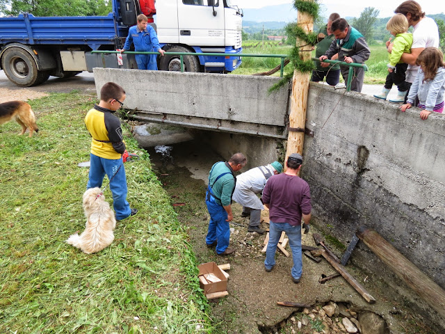 2014-Mlaj-in-kresovanje-44.JPG