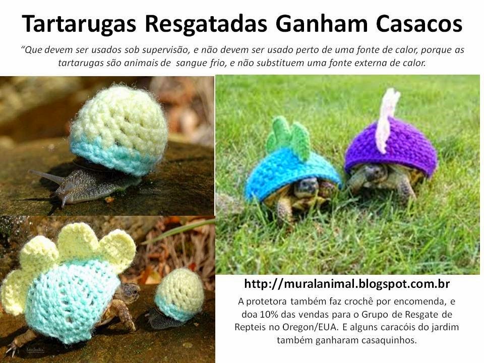 [Tartarugas%2520Resgatadas%2520Ganham%2520Casacos%255B3%255D.jpg]