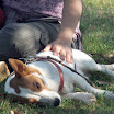 benny_entspannt_1.jpg