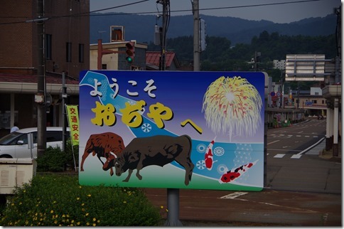 IMGP3155 IMGP3155