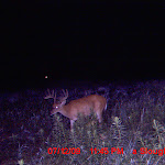 MDGC0018.JPG