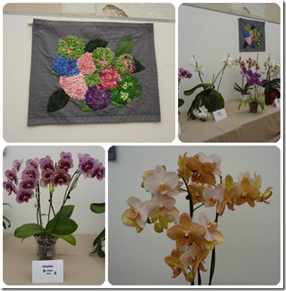 orquideas 2 orquideas 2