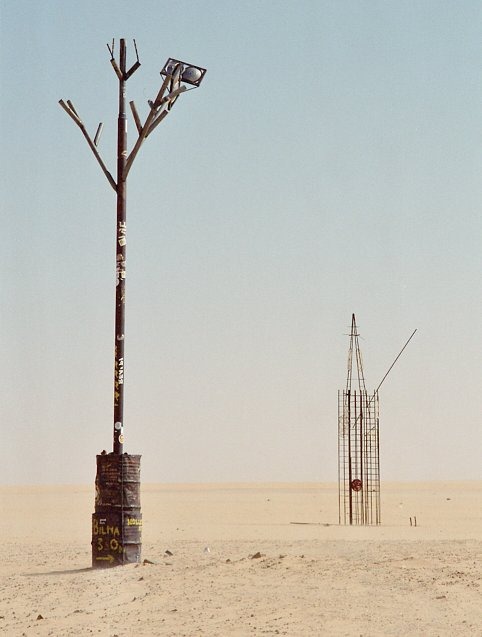 tree-of-tenere-8 tree-of-tenere-8