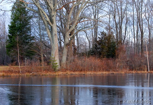 4. Lion's Pond-kab