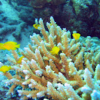 IMG_1880.JPG