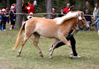 Cajsilla f 2008 e Qum u Russilla e Haj