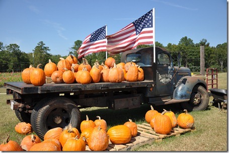 southern belle farm 100611 (70)