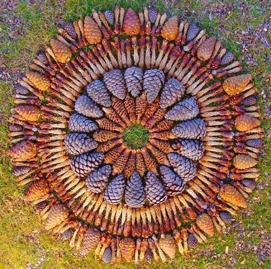 1 1