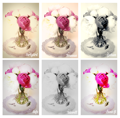 [insta2%255B5%255D.png]