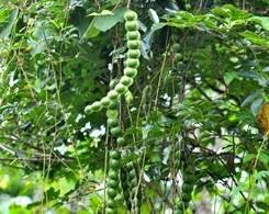 [clip_image0043.jpg]