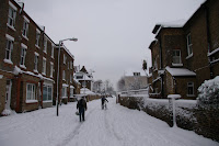 Looking down our street