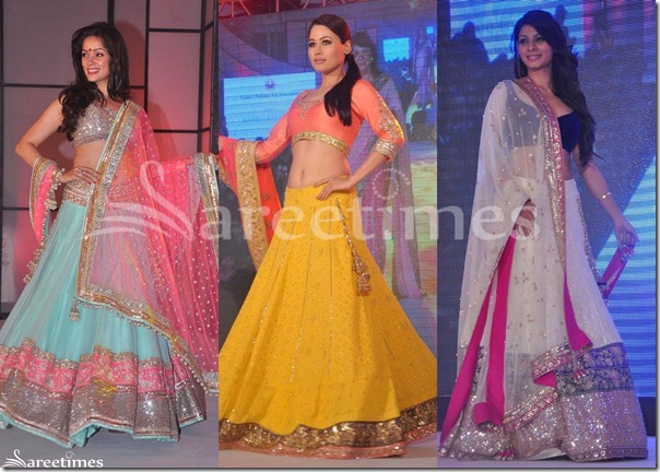Manish_Malhotra_2012_Sarees(2)