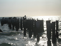 IMG_4641.jpg