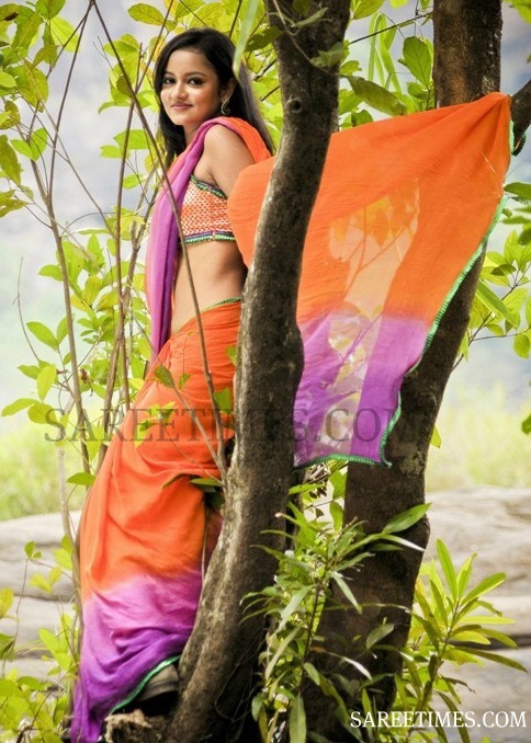 [Sanvi_Dual_Color_Saree%255B4%255D.jpg]