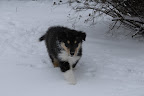 _DSC0071.JPG