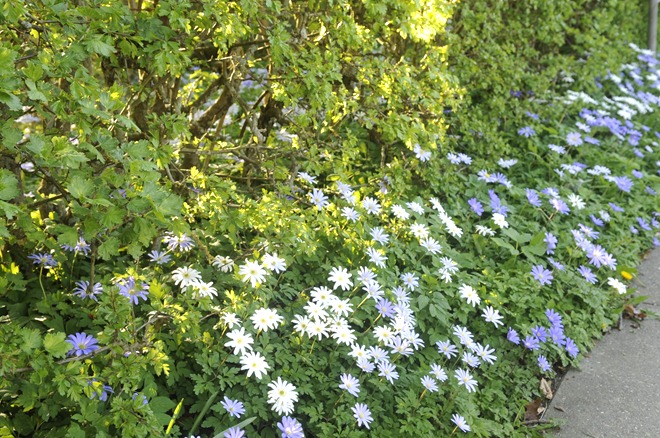 20120501_161008