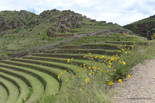The signature terraced farming of the Inca.