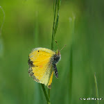 IMG_4806.jpg