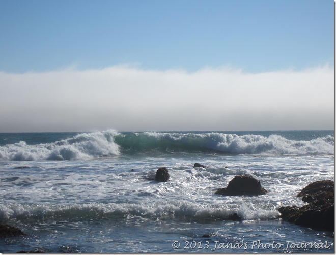 Estero Bluffs State Park