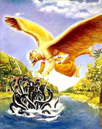 [garuda-attacks-kaliya%255B8%255D.jpg]