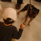 DSC05001.JPG