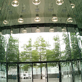 Stars Gym