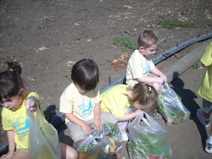 Look at those full bags of vegetables!