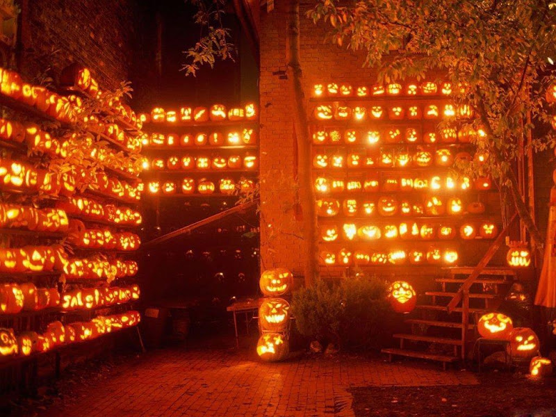 Shining Wall, Halloween