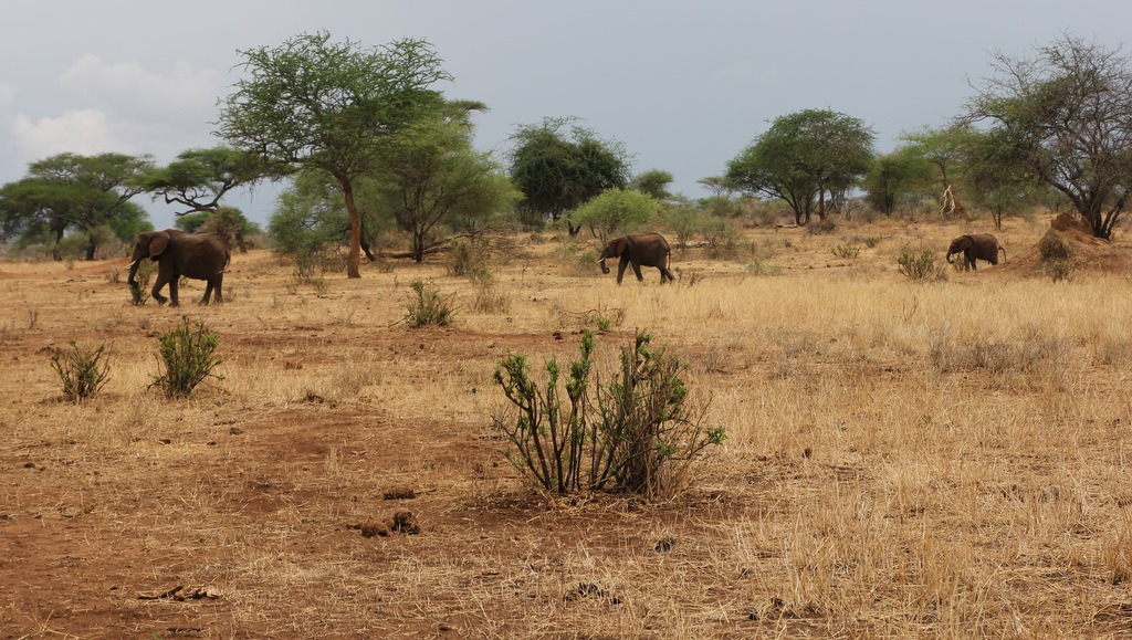 [IMG_2534%255B3%255D.jpg]