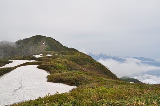 DSC_0071 DSC_0071